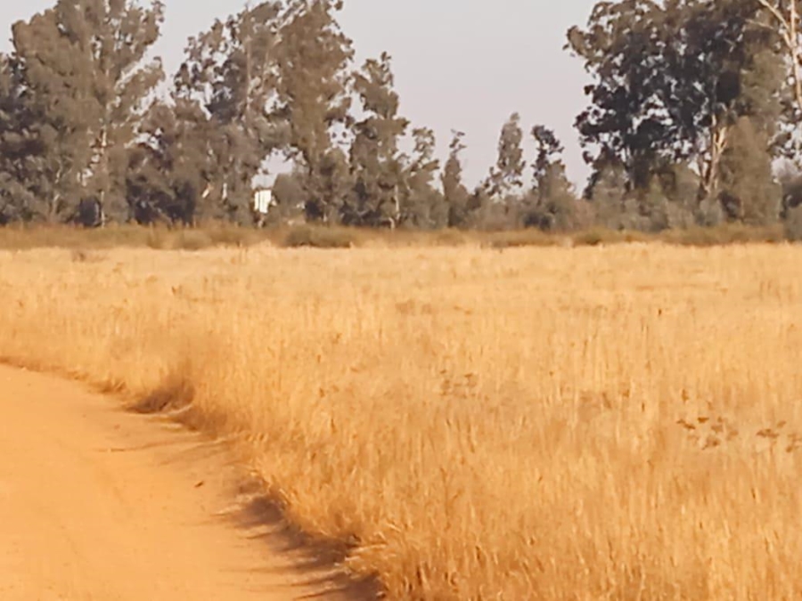 Commercial Property for Sale in Blue Saddle Ranches Gauteng