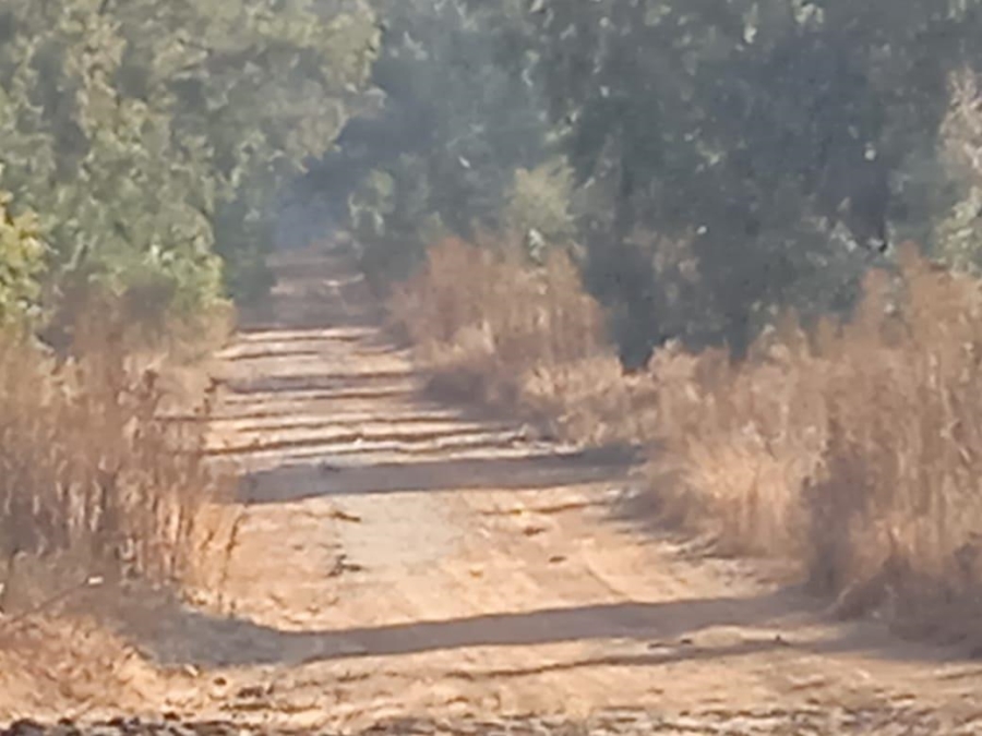 Commercial Property for Sale in Blue Saddle Ranches Gauteng