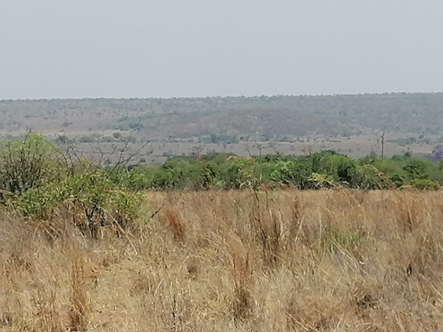  Bedroom Property for Sale in Dinokeng Game Reserve Gauteng