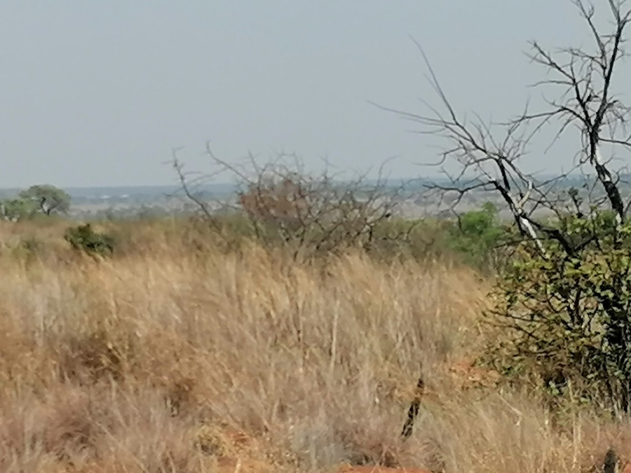  Bedroom Property for Sale in Dinokeng Game Reserve Gauteng