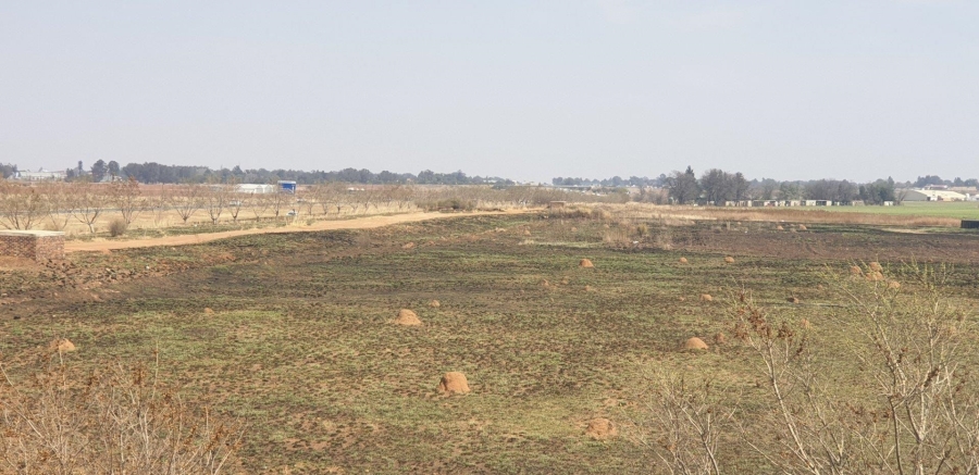 Commercial Property for Sale in Witkop Gauteng