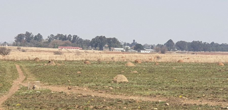 Commercial Property for Sale in Witkop Gauteng