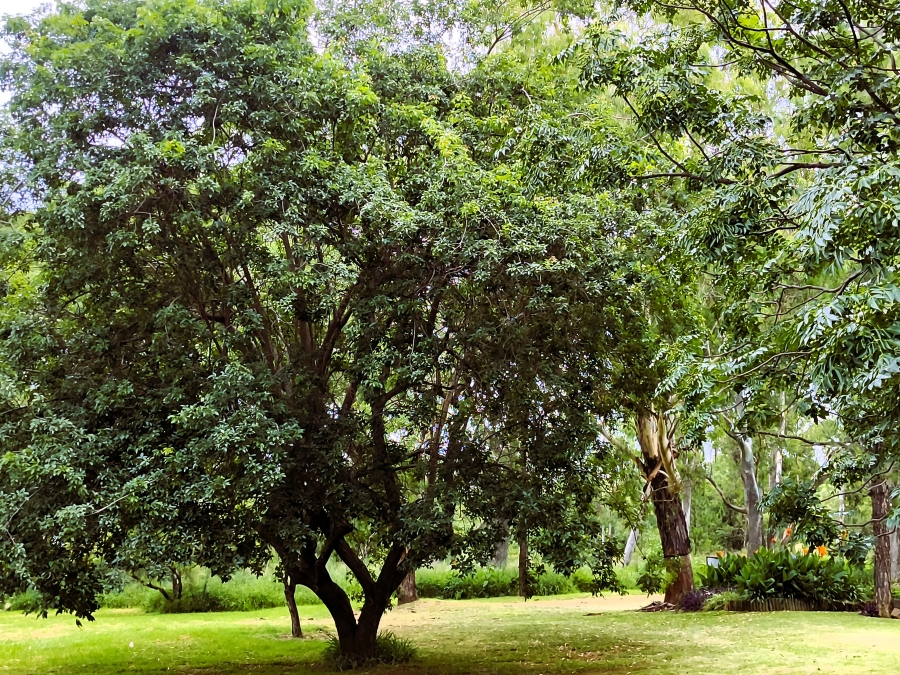 4 Bedroom Property for Sale in Rayton Gauteng