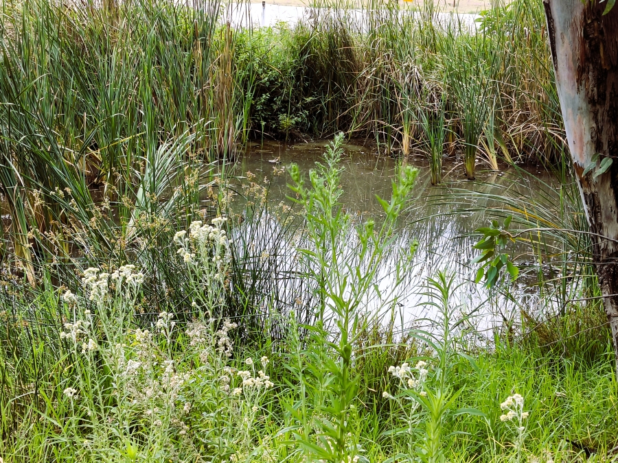 4 Bedroom Property for Sale in Rayton Gauteng