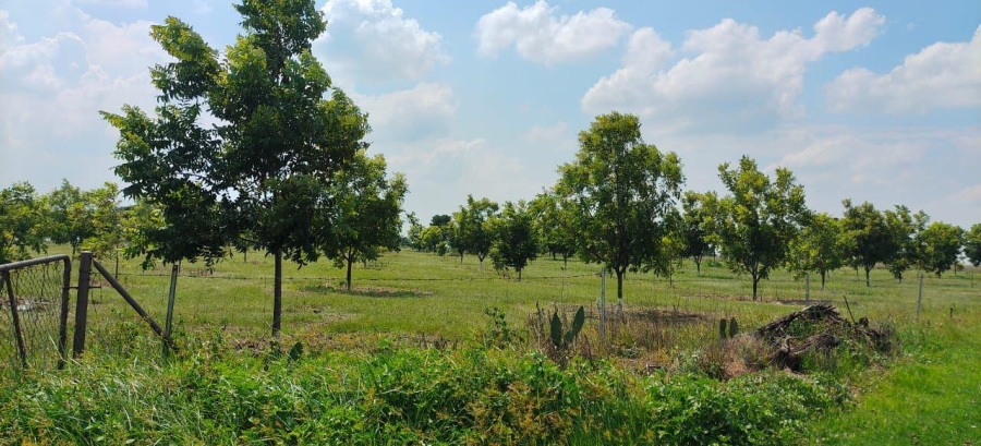 11 Bedroom Property for Sale in Vaalbank Gauteng
