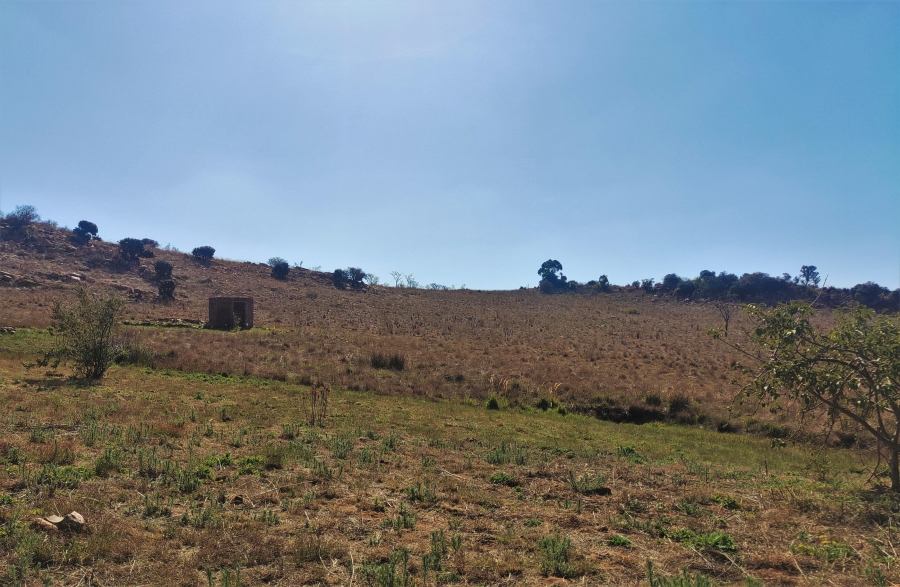 8 Bedroom Property for Sale in Rayton Gauteng