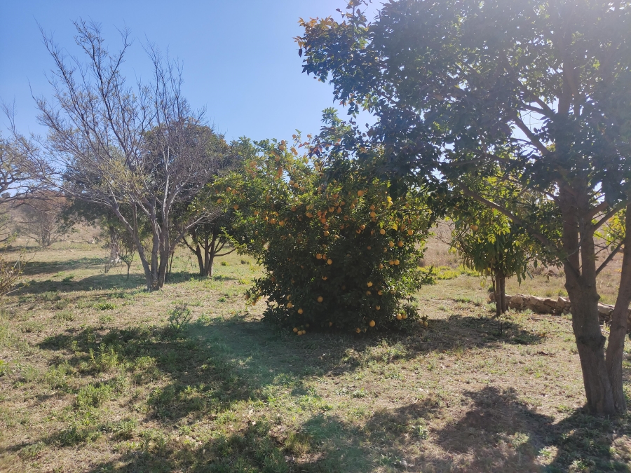 8 Bedroom Property for Sale in Rayton Gauteng