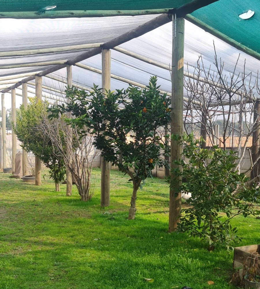 3 Bedroom Property for Sale in Rusticana Gauteng