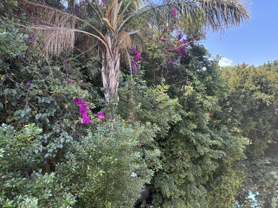 1 Bedroom Property for Sale in Illovo Gauteng