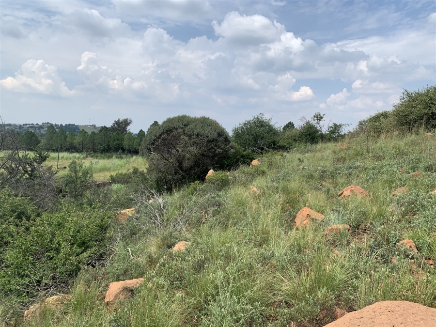 0 Bedroom Property for Sale in Golf View Gauteng