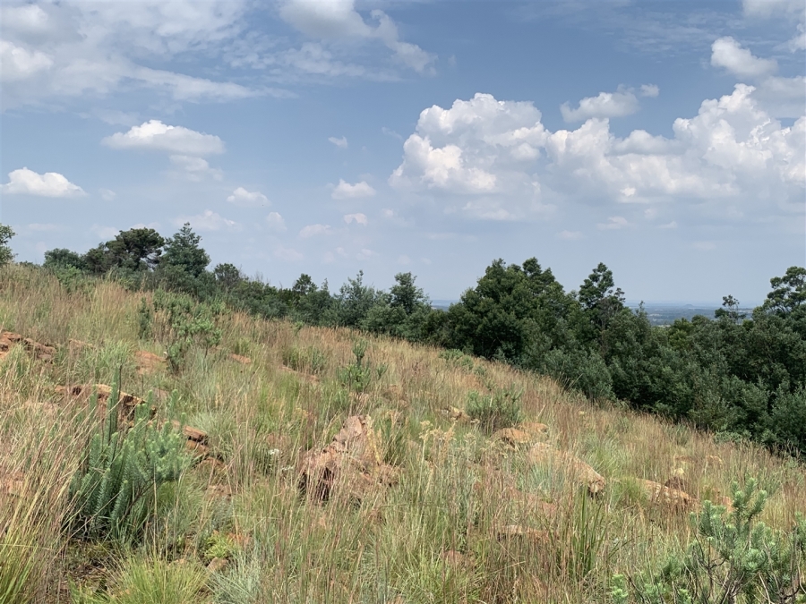 0 Bedroom Property for Sale in Golf View Gauteng