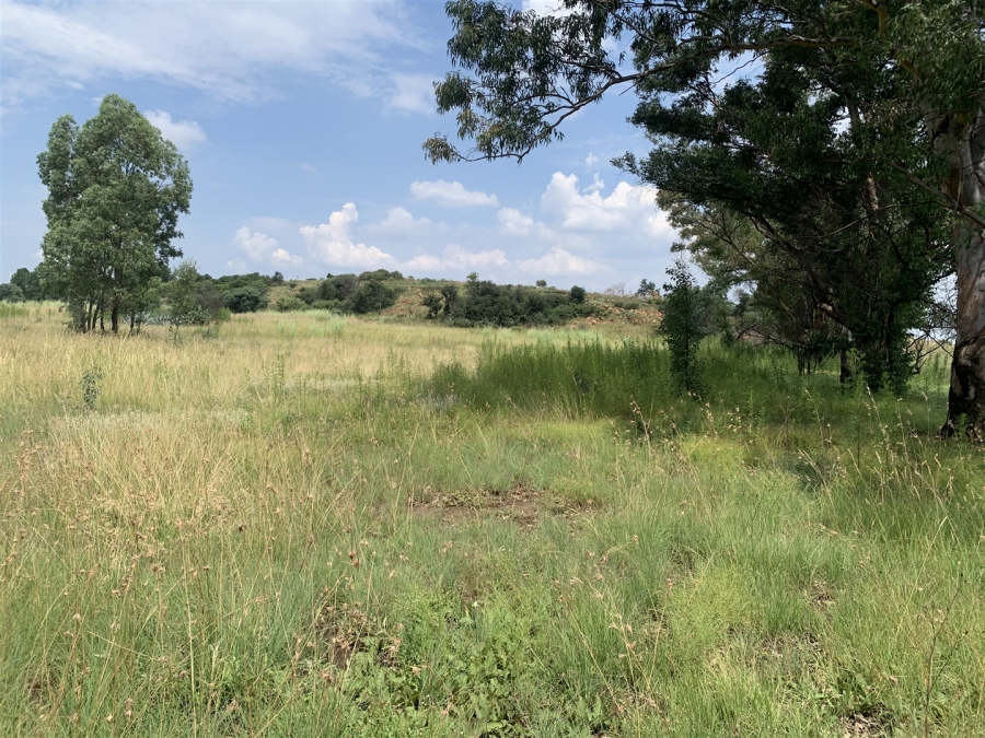 0 Bedroom Property for Sale in Golf View Gauteng