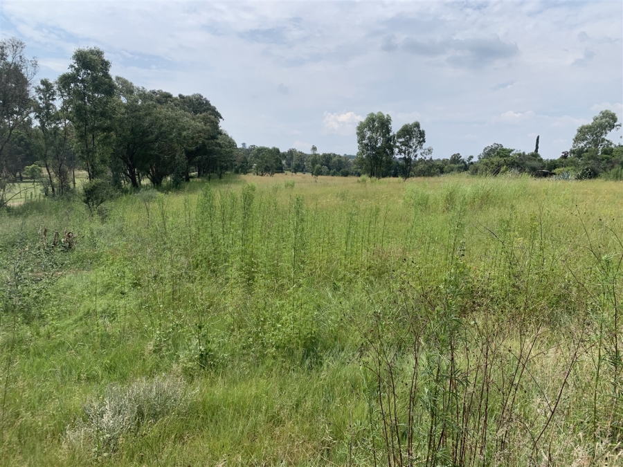 0 Bedroom Property for Sale in Golf View Gauteng