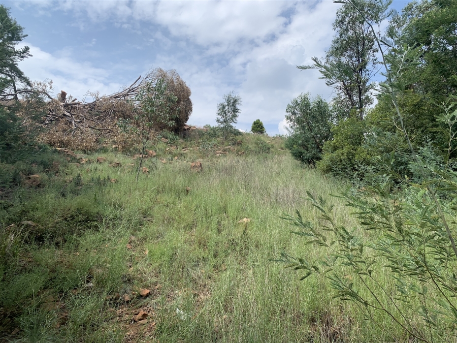 0 Bedroom Property for Sale in Golf View Gauteng