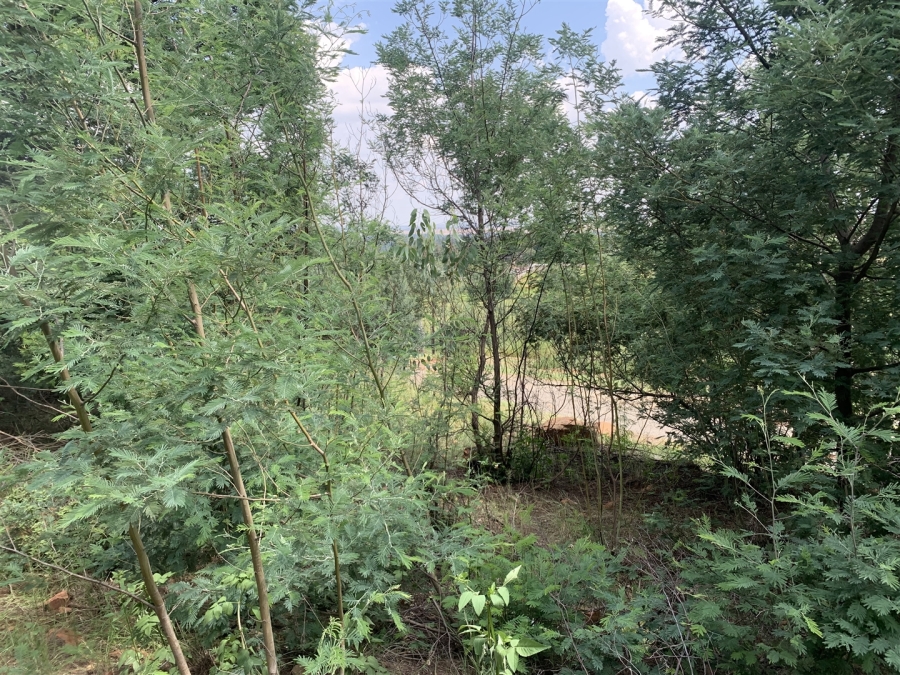 0 Bedroom Property for Sale in Golf View Gauteng