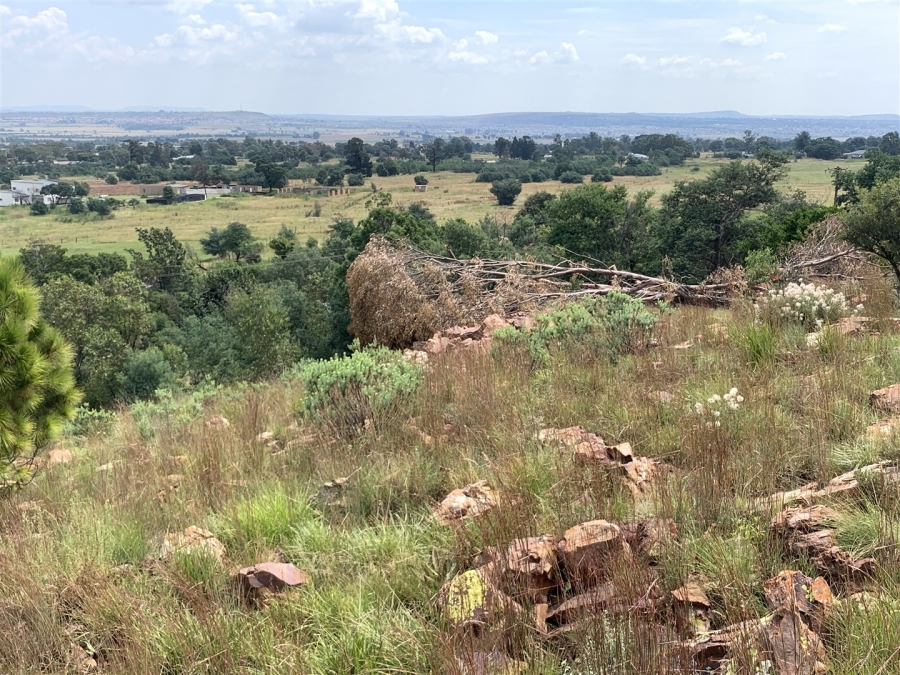 0 Bedroom Property for Sale in Golf View Gauteng