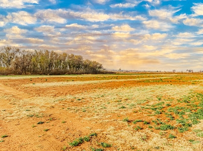 6 Bedroom Property for Sale in Eikenhof Gauteng