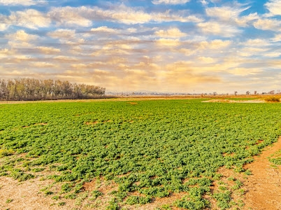 6 Bedroom Property for Sale in Eikenhof Gauteng