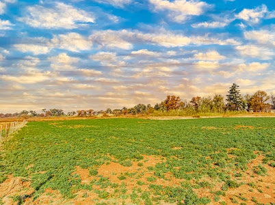 6 Bedroom Property for Sale in Eikenhof Gauteng