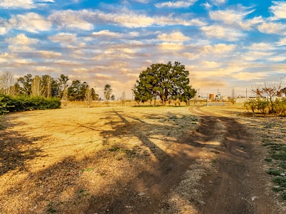 6 Bedroom Property for Sale in Eikenhof Gauteng