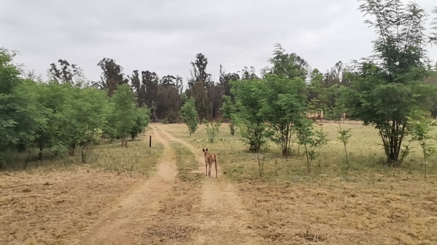 3 Bedroom Property for Sale in Golf View Gauteng