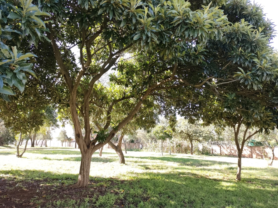 4 Bedroom Property for Sale in Raslouw Gauteng