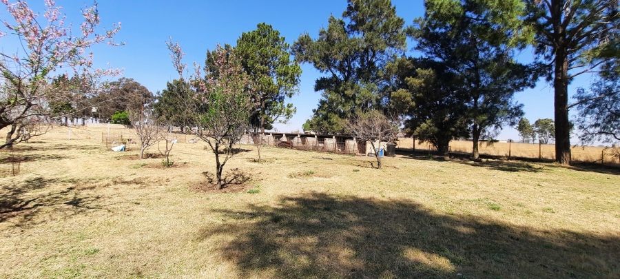 4 Bedroom Property for Sale in Vaalfontein Gauteng