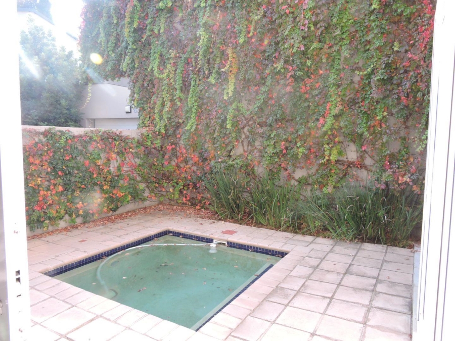 To Let 3 Bedroom Property for Rent in Muckleneuk Gauteng