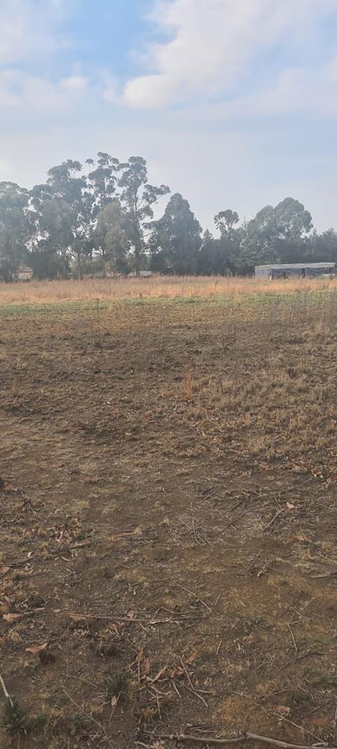 0 Bedroom Property for Sale in Homestead Apple Orchards Gauteng