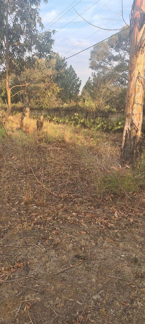 0 Bedroom Property for Sale in Homestead Apple Orchards Gauteng