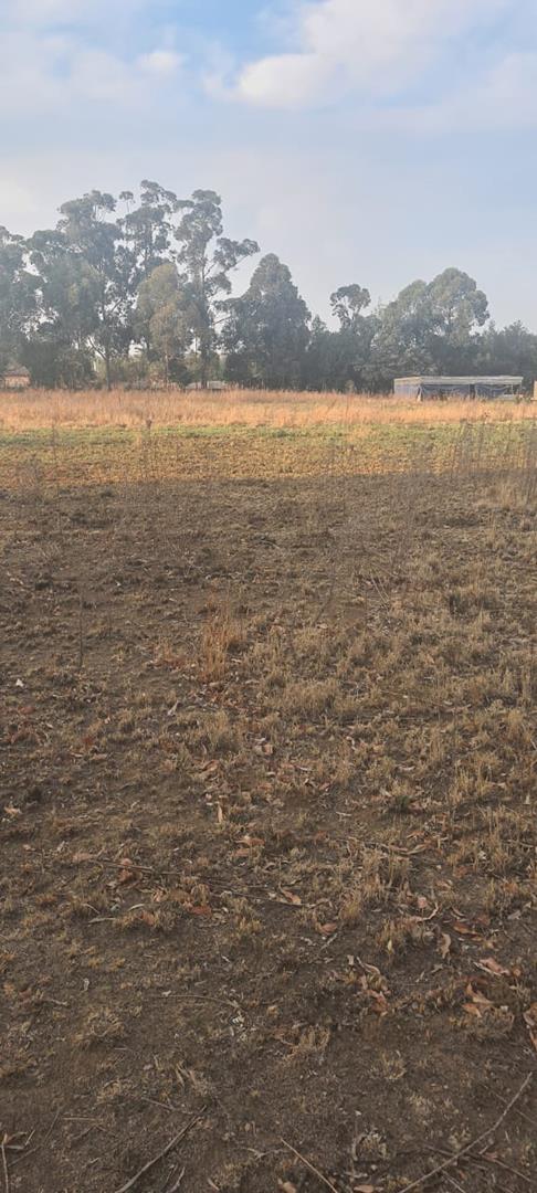 0 Bedroom Property for Sale in Homestead Apple Orchards Gauteng