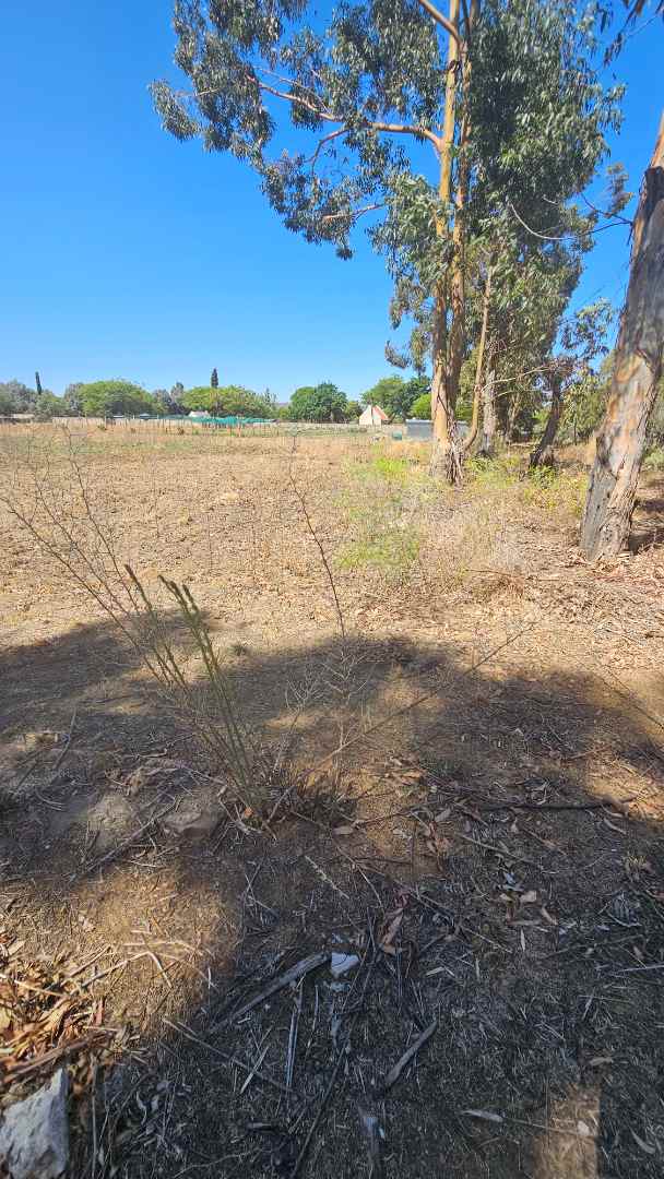 0 Bedroom Property for Sale in Homestead Apple Orchards Gauteng