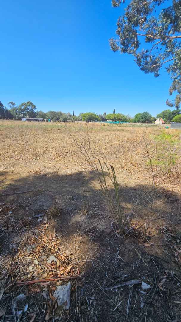 0 Bedroom Property for Sale in Homestead Apple Orchards Gauteng