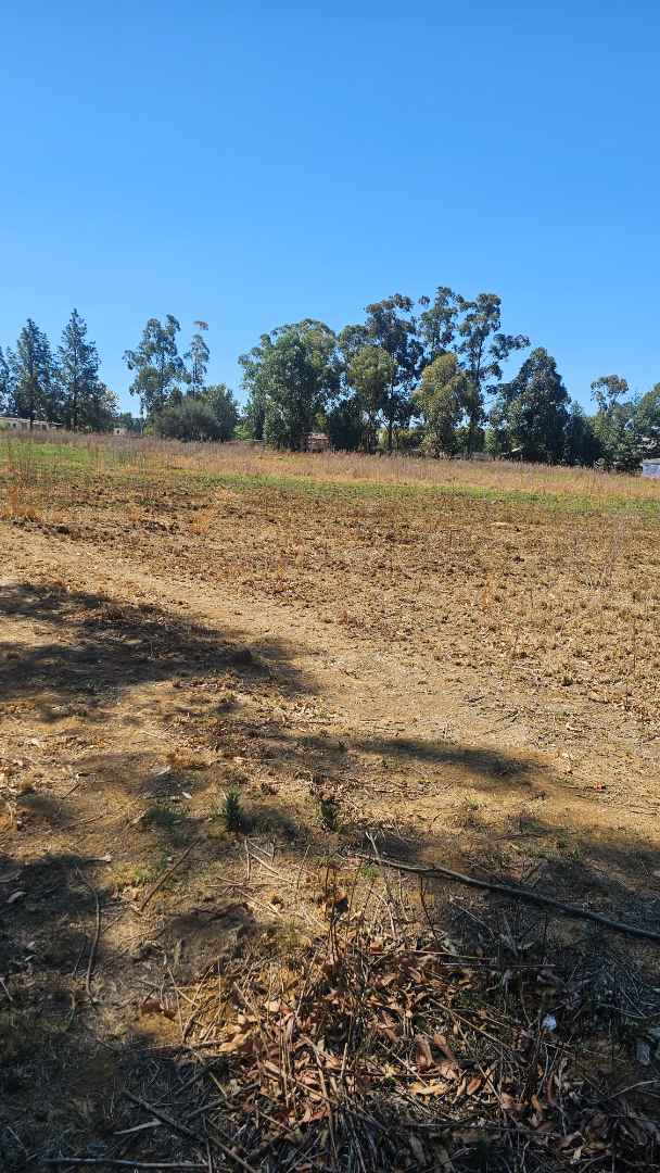 0 Bedroom Property for Sale in Homestead Apple Orchards Gauteng