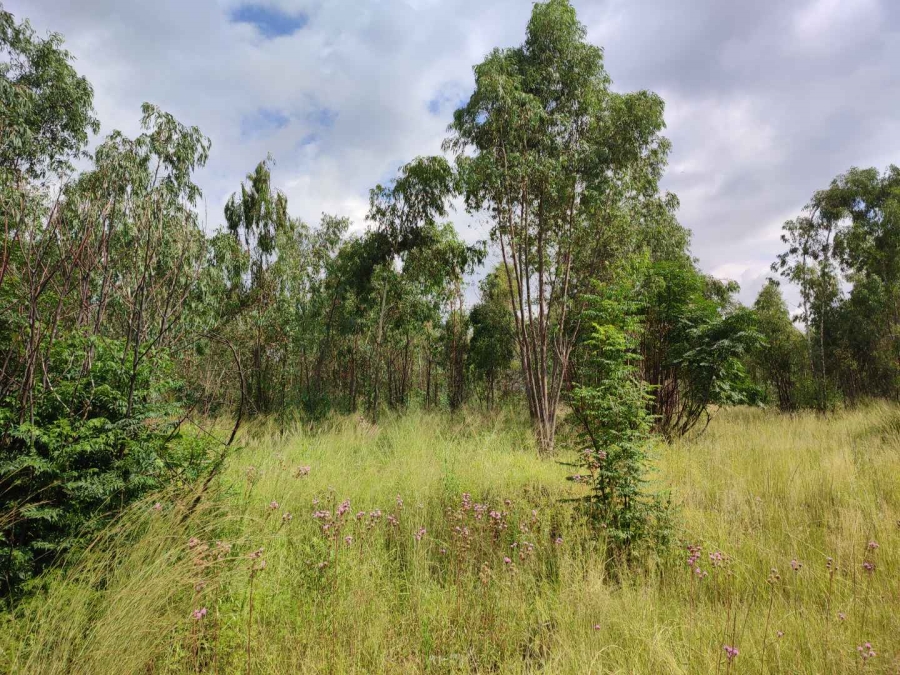 Commercial Property for Sale in Eldo Meadows Gauteng