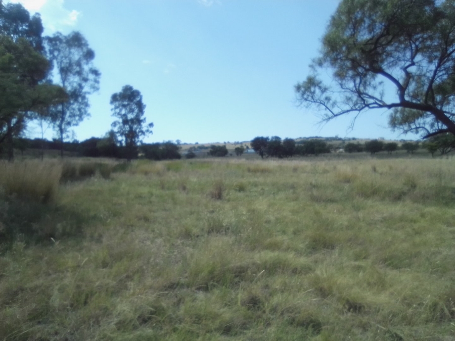 To Let Commercial Property for Rent in Laezonia Gauteng