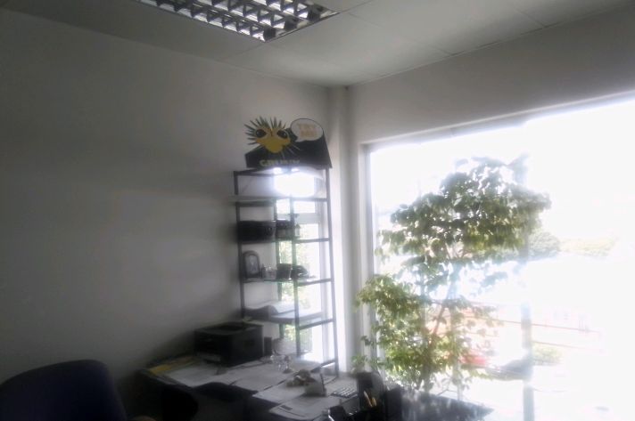 To Let Commercial Property for Rent in Barbeque Downs Gauteng