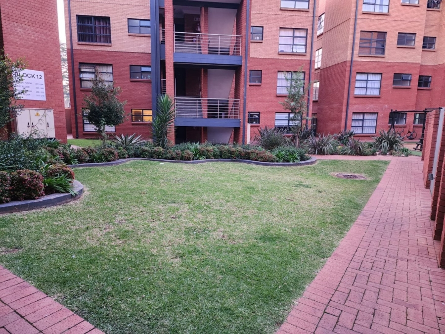 To Let 3 Bedroom Property for Rent in Eveleigh Gauteng