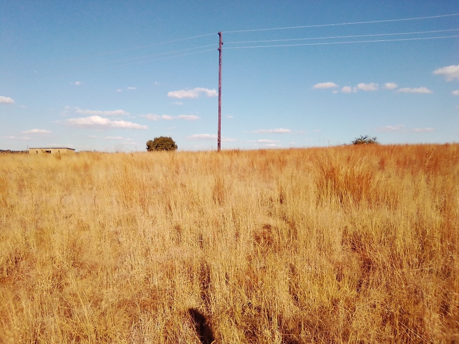 To Let Commercial Property for Rent in Diepsloot West Gauteng
