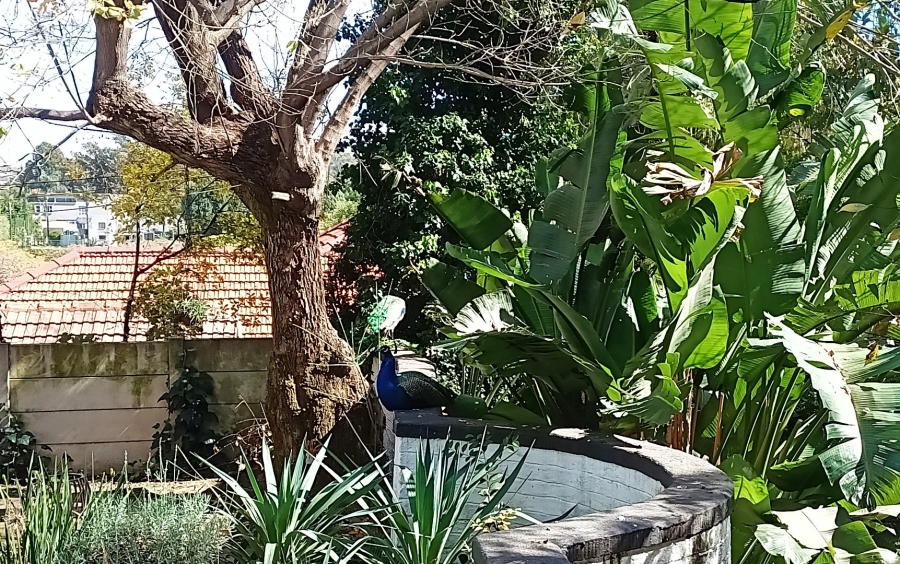 1 Bedroom Property for Sale in Highlands North Gauteng