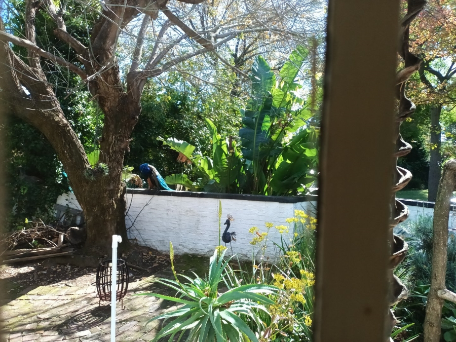 1 Bedroom Property for Sale in Highlands North Gauteng