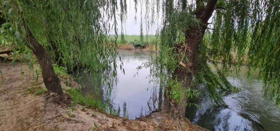 Commercial Property for Sale in Lanseria Gauteng