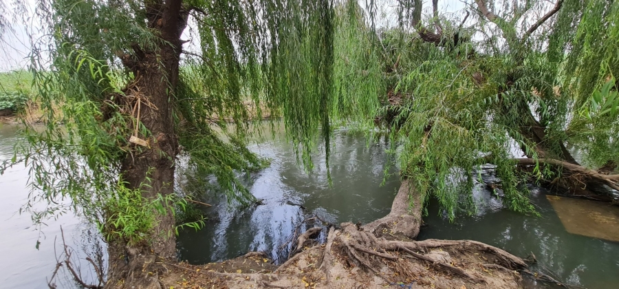 Commercial Property for Sale in Lanseria Gauteng