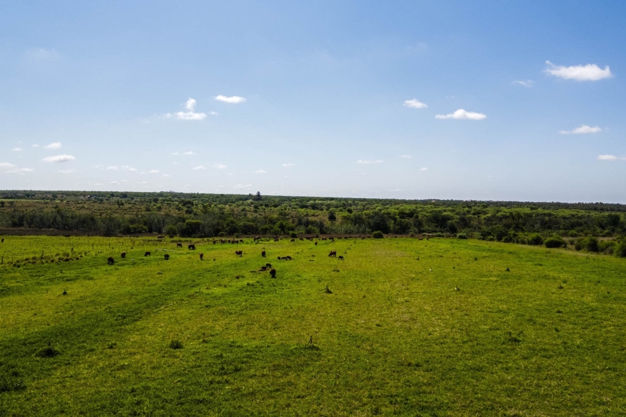 Commercial Property for Sale in Lusthof Gauteng