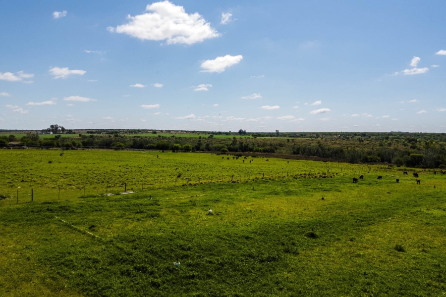 Commercial Property for Sale in Lusthof Gauteng
