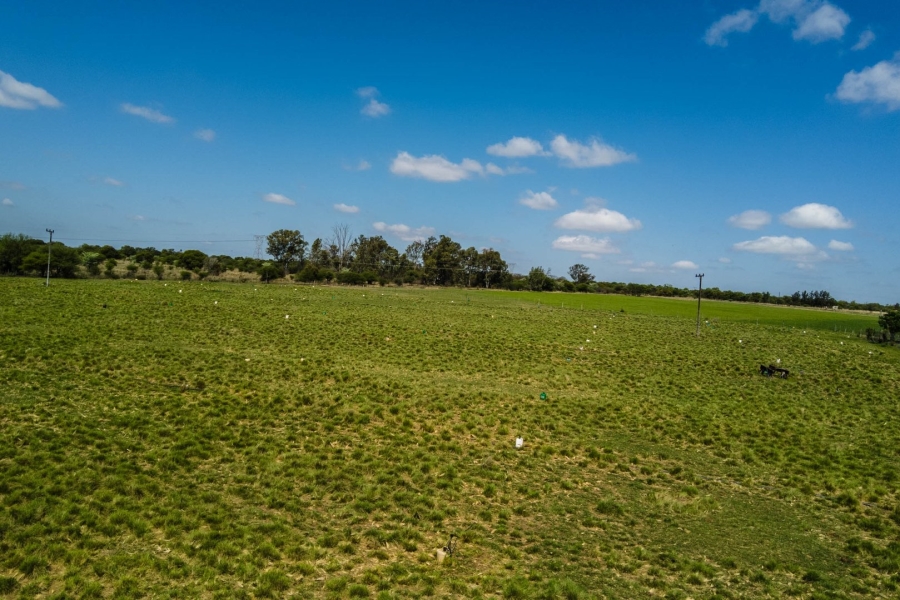 Commercial Property for Sale in Lusthof Gauteng