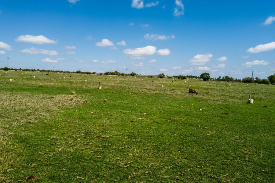 Commercial Property for Sale in Lusthof Gauteng