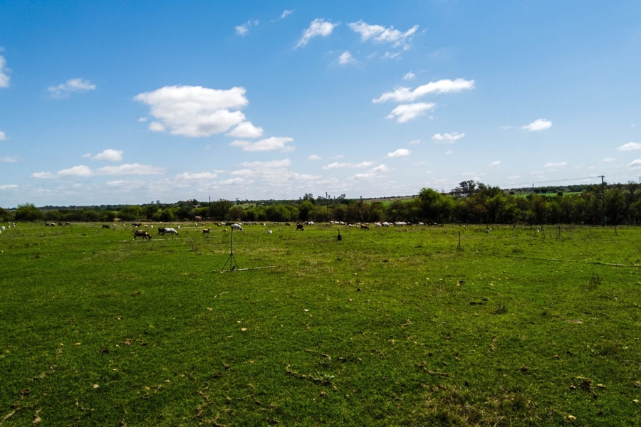 Commercial Property for Sale in Lusthof Gauteng