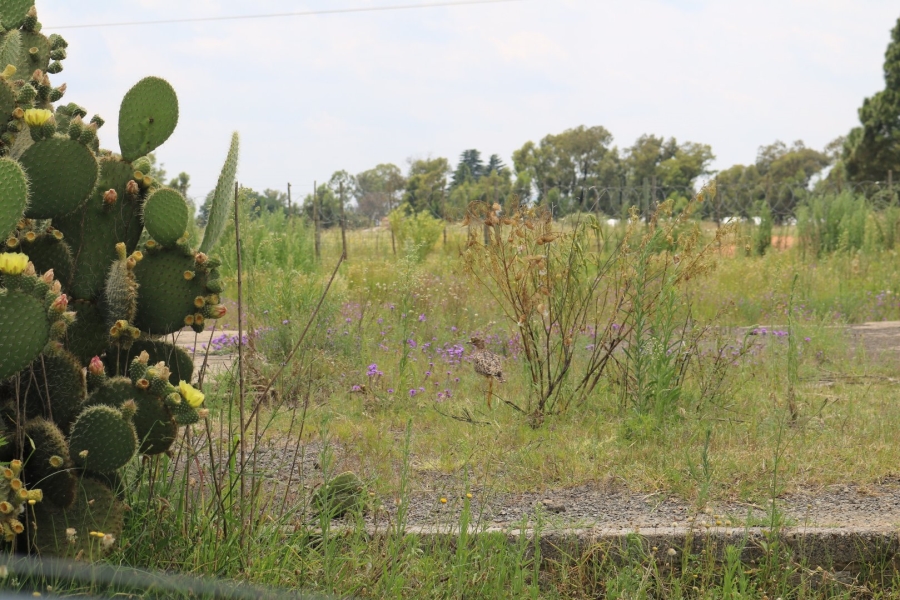 Commercial Property for Sale in Valley Settlements A H Gauteng