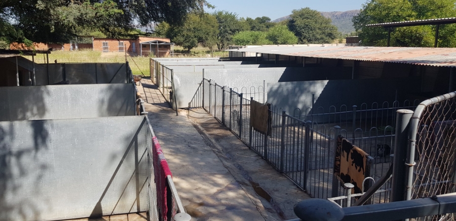 4 Bedroom Property for Sale in Swacina Park A H Gauteng